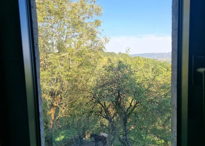 Vakantiehuis Le Coustouzet - 10 Personnes *