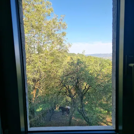 Prázdninový dům Le Coustouzet - 10 Personnes *